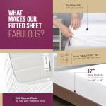 Luxury 100% Egyptian Cotton Queen Sheet Set