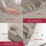 Luxury Egyptian Cotton King Sheet Set - Khaki