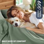 Shilucheng 100% Cotton Queen Size Sheets Set - 600 Thread Count，Luxury Egyptian Cotton Bed Sheets，5-Star Hotel Quality Sheets, Breathable & Cooling, 16 Inch Deep Pocket - 4 Piece (Sea Glass, Queen)