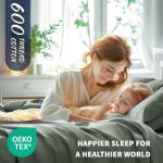 Shilucheng 100% Cotton Queen Size Sheets Set - 600 Thread Count，Luxury Egyptian Cotton Bed Sheets，5-Star Hotel Quality Sheets, Breathable & Cooling, 16 Inch Deep Pocket - 4 Piece (Sea Glass, Queen)