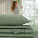 Shilucheng 100% Cotton Queen Size Sheets Set - 600 Thread Count，Luxury Egyptian Cotton Bed Sheets，5-Star Hotel Quality Sheets, Breathable & Cooling, 16 Inch Deep Pocket - 4 Piece (Sea Glass, Queen)