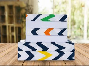 Elegant Comfort Luxury Soft Bed Sheets Chevron Pattern - 1500 Premium Hotel Quality Microfiber Softness Wrinkle and Fade Resistant (6-Piece) Bedding Set, Queen, Chevron Colorful
