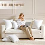 MIULEE 18x18 Throw Pillow Inserts - Set of 2