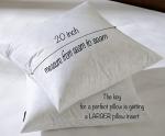 20x20 Down Feather Decorative Pillow Inserts Set