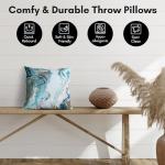 Blue and White Decorative Throw Pillow Set