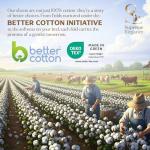 Luxurious 100% Cotton Queen Bed Sheet Set