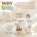 Luxurious 100% Cotton Queen Bed Sheet Set