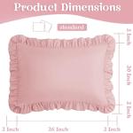 Light Pink Ruffled Pillow Case Set of 2