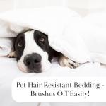 Southshore Fine Living, Inc. Reversible California King Duvet Cover Set, Hotel Quality Microfiber Bedding Set - 1 King/Cal King Duvet Cover, 2 Shams, Insert Not Included - Botanical Leaves Blue