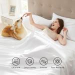 Bedsure Queen Sheet Set - 4 Soft Pieces