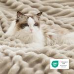 Bedsure Sherpa Throw Blanket for Couch - Super Soft, Cozy Fleece Thick Warm Blanket for Winter, GentleSoft Plush & Fluffy Throw Gift for Women, Room Decor, Beige, 50x60 Inches