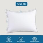 Queen Size Down Alternative Pillow Set of 2