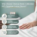 Luxury Egyptian Cotton Queen Sheet Set - 800 TC