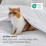 Bedsure Queen Size Ultra Soft Quilt Set