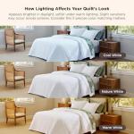 Bedsure Queen Size Ultra Soft Quilt Set