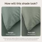 Luxury 600 Thread Count Queen Sheet Set - Sage