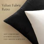 Black Velvet Decorative Pillow Covers, Set of 2