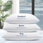 Piwaal Grey Bed Pillows Set of 2