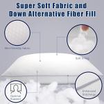 Piwaal Grey Bed Pillows Set of 2