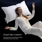 Luxury Down Pillow for Queen Beds 20"x30