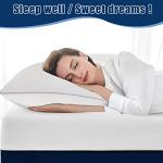 Piwaal Grey Bed Pillows Set of 2