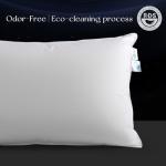 Luxury Down Pillow for Queen Beds 20"x30