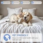 Luxury 1200 TC Egyptian Cotton King Bed Set