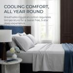 Egyptian Cotton 800 Thread Count Queen Bed Set