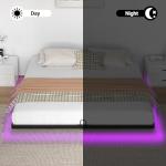 Floating Bed Frame with LED Lights, Easy Assembly