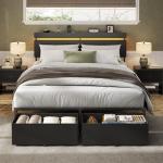 Forestell Queen Bed Frame with Storage and LED Lights