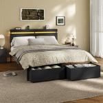 Forestell Queen Bed Frame with Storage and LED Lights