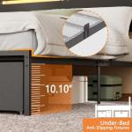 Forestell Queen Bed Frame with Storage and LED Lights