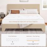 Beige Upholstered Full Bed Frame with Adjustable Headboard