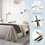 Velvet Queen Bed Frame with Wingback Storage