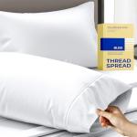 Luxury Egyptian Cotton Queen Pillow Cases Set of 2