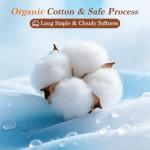 100% Egyptian Cotton 4-Piece Queen Sheet Set