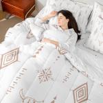 Erosebridal Twin Aztec 7-Piece Bedding Set