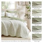 Madison Park 3-Piece Reversible Quilt Set, Botanical Print & Scalloped Edge, Lightweight Summer Bedding, Queen, Market Green