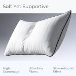 Phantoscope Synthetic Down Pillow Insert - 18x18 Down Alternative, Ultra Soft Large Square Throw Pillow with 100% Cotton for Couch Sham, Bed Sleeping (White, Set of 2)