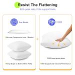 AIAEL 18x18 Pillow Inserts Set of 2, Down Alternative Throw Pillow Inserts with 100% Cotton Cover, Machine Washable Reading Pillows, Decorative Pillows for Bed, Sofa, and Couch