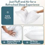 HEYCUZI Queen Size Bed Pillows Set of 2 - Breathable Premium Down Alternative Pillows for Side, Back, and Stomach Sleepers Fluffy Hotel Quality Soft Microfiber Fill Skin-Friendly