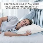 Silk Pillow Cases 2 Pack,Soft Breathable and Sliky Standard Size Pillow Cases Set of 2,Natural Mulberry Silk Pillowcase Set of 2 for Hair and Skin with Hidden Zipper (White,20"X 26",2pcs)