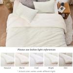 Sasttie Queen Comforter Set 3 Pieces - Super Soft Fleece Comforters Queen Size, 1 Luxury Warm Fuzzy Marshmallow Comforter with 2 Pillow Cases, Faux Fur Down Alternative Bedding Set, Cream White