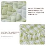 Joyreap 3pcs Ruffle Quilt Set Queen, Sage Green Gingham Plaid Ruffled Design, Soft Cozy Microfiber Farmhouse Bedspread Coverlet for All Season- 90x90 inches