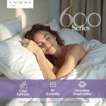 Carressa Linen 100% Egyptian Cotton Queen Sheet Set - 600 Thread Count Egyptian Cotton Queen Sheets Set (4 PC, Crisp White), Ultra Soft, Cooling, 16" Deep Pocket Sateen Weave Luxury Hotel Bed Sheet