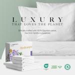 Carressa Linen 100% Egyptian Cotton Queen Sheet Set - 600 Thread Count Egyptian Cotton Queen Sheets Set (4 PC, Crisp White), Ultra Soft, Cooling, 16" Deep Pocket Sateen Weave Luxury Hotel Bed Sheet