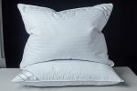 Eastwarmth Goose Down Feather Soft Pillows One Pillow 100% Cotton Supportive Bed Pillow Stripe White Color Standard Size 20x26 inch
