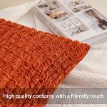 Aegero Pack of 2 Corduroy Decorative Throw Pillow Covers 18x18 Inch Fall Soft Striped Pillow Covers Modern Farmhouse Home Decor for Sofa Living Room Couch Bed(Rust)