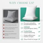 Phantoscope Hypoallergenic Throw Pillows Insert, 100% Virgin Fiber Throw Pillows - Indoor Pillow Inserts Decor Stuffer for Desk Sofa and Couch, Set of 2, 18 x 18