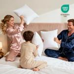 Phantoscope Hypoallergenic Throw Pillows Insert, 100% Virgin Fiber Throw Pillows - Indoor Pillow Inserts Decor Stuffer for Desk Sofa and Couch, Set of 2, 18 x 18